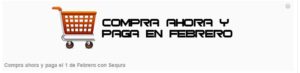 Compra ahora y paga en febrero