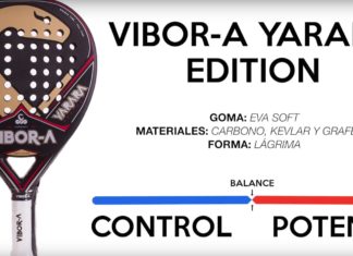 Comportamiento en pista Vibora Yarara Edition 2017